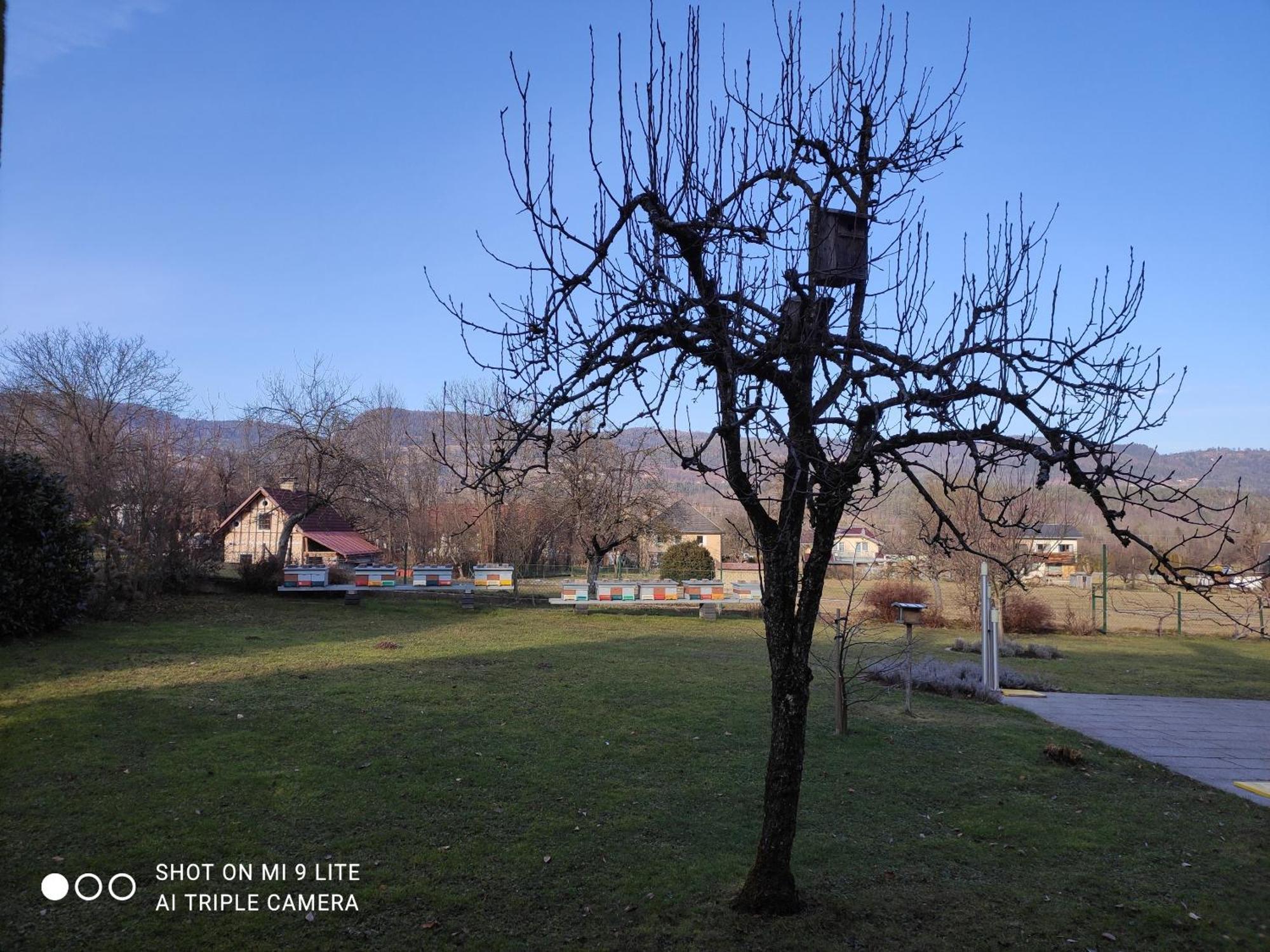 Nice Small House In Beautiful Carinthia Feistritz im Rosental Exterior foto